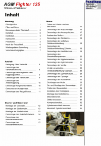 Reparaturanleitung RIS AGM Fighter 125 4T Antrieb und Motor