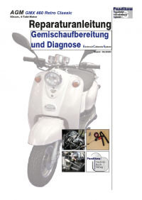 Reparaturanleitung RIS, AGM GMX 460 Retro Classic 50 ECS, 4T, Gemischaufbereitung und Diagnose