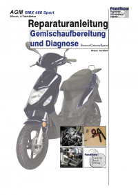 Reparaturanleitung RIS, AGM GMX 460 Sport 50 ECS, 4T, Gemischaufbereitung und Diagnose