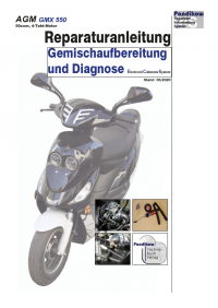 Reparaturanleitung RIS, AGM GMX 550 ECS, 4T, Gemischaufbereitung und Diagnose