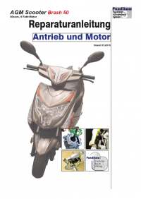 Reparaturanleitung RIS, AGM Scooters Brash 50 ECS, 4T, Gemischaufbereitung und Diagnose