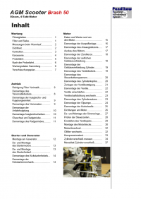 Reparaturanleitung RIS, AGM Scooters Brash 50, 4T, Antrieb und Motor