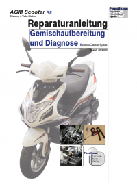 Reparaturanleitung RIS, AGM Scooters R8 ECS, 4T, Gemischaufbereitung und Diagnose