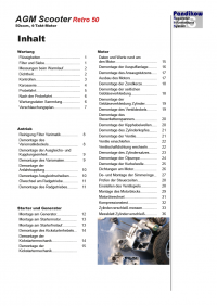 Reparaturanleitung RIS, AGM Scooters Retro 50, 4T, Antrieb und Motor