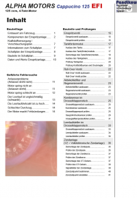 Reparaturanleitung RIS, Alpha Motors Cappucino 125 EFI, 4T, Gemischaufbereitung und Diagnose