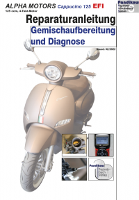 Reparaturanleitung RIS, Alpha Motors Cappucino 125 EFI, 4T, Gemischaufbereitung und Diagnose