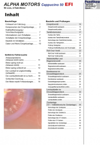 Reparaturanleitung RIS, Alpha Motors Cappucino 50 EFI, 4T, Gemischaufbereitung und Diagnose