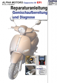 Reparaturanleitung RIS, Alpha Motors Cappucino 50 EFI, 4T, Gemischaufbereitung und Diagnose