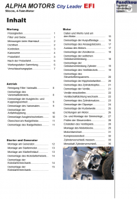 Reparaturanleitung RIS, Alpha Motors City Leader 50 EFI, 4T, Antrieb und Motor