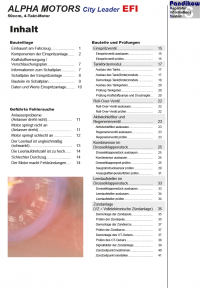 Reparaturanleitung RIS, Alpha Motors City Leader 50 EFI, 4T, Gemischaufbereitung und Diagnose