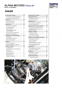 Reparaturanleitung RIS, Alpha Motors Falcon 50 ECS,, 4T, Gemischaufbereitung und Diagnose