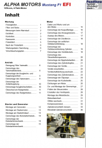 Reparaturanleitung RIS, Alpha Motors Mustang 125 EFI, 4T, Antrieb und Motor