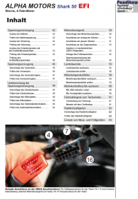 Reparaturanleitung RIS, Alpha Motors Shark 50 EFI, 4T, Gemischaufbereitung und Diagnose