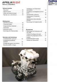 Reparaturanleitung RIS, Aprilia RS 125, 4T, Antrieb und Motor