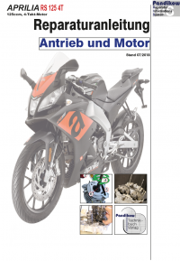 Reparaturanleitung RIS, Aprilia RS 125, 4T, Antrieb und Motor