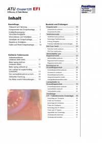 Reparaturanleitung RIS, ATU Cruzer 125 EFI, Gemischaufbereitung und Diagnose