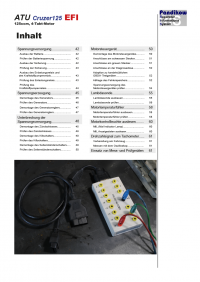 Reparaturanleitung RIS, ATU Cruzer 125 EFI, Gemischaufbereitung und Diagnose