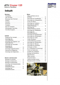 Reparaturanleitung RIS, ATU Cruzer 125, Antrieb und Motor