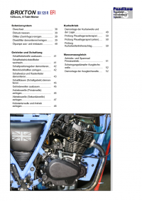Reparaturanleitung RIS, Brixton BX 125 R, 4T, Antrieb und Motor