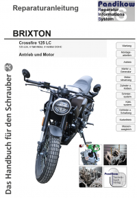 Reparaturanleitung RIS Brixton Crossfire 125 LC, Antrieb und Motor