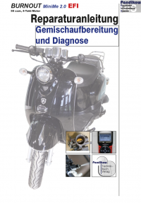 Reparaturanleitung RIS BURNOUT MiniMe 2.0 50, Gemischaufbereitung und Diagnose