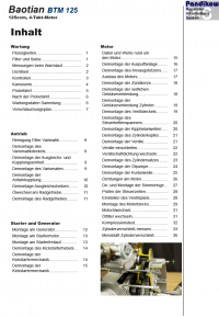 Reparaturanleitung RIS, Baotian BTM 125, 4T, Antrieb und Motor