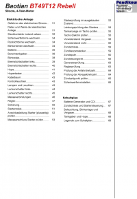 Reparaturanleitung RIS Baotian BT 49 T12 Rebell Gemischaufbereitung, Diagnose und Elektrik