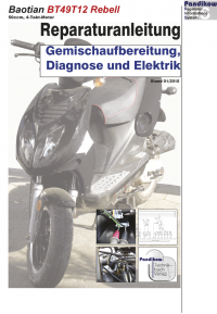 Reparaturanleitung RIS Baotian BT 49 T12 Rebell Gemischaufbereitung, Diagnose und Elektrik