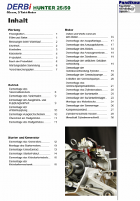 Reparaturanleitung RIS Derbi Hunter 50 Antrieb und Motor