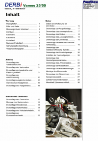 Reparaturanleitung RIS Derbi Vamos 50 Antrieb und Motor