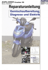 Reparaturanleitung RIS Explorer Cracker 50 Gemischaufbereitung, Diagnose und Elektrik