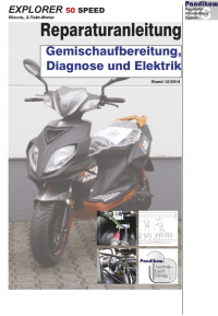 Reparaturanleitung RIS Explorer Speed 50 2T, Gemischaufbereitung, Diagnose und Elektrik