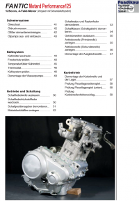 Reparaturanleitung RIS, Fantic Motard Performance 125, Antrieb und Motor