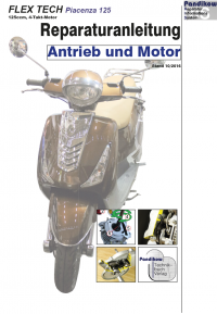 Reparaturanleitung RIS, Flex tech Piacenza 125, 4T, Antrieb und Motor