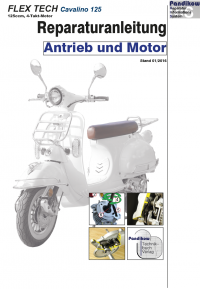 RIS Reparaturanleitung Flex Tech Cavallino 125 Antrieb und Motor