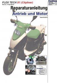 Reparaturanleitung RIS, Flex Tech X1 (Cityliner) 50, Antrieb und Motor