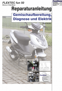 Reparaturanleitung RIS, Flex Tech Fun 50 4T, Gemischaufbereitung, Diagnose und Elektik