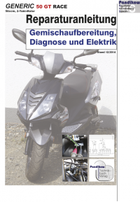 Reparaturanleitung RIS Generic 50 GT Race Gemischaufbereitung, Diagnose und Elektrik