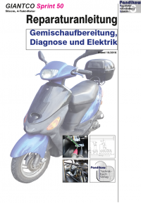 Reparaturanleitung RIS, Giantco Sprint 50, 4T, Gemischaufbereitung, Diagnose und Elektrik