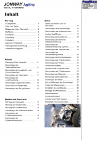 Reparaturanleitung RIS JONWAY Agility 4T Antrieb und Motor