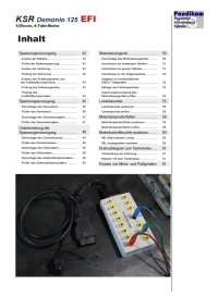 Reparaturanleitung RIS, KSR Demonio 125 EFI, Gemischaufbereitung und Diagnose
