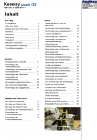 Reparaturanleitung RIS, Keeway Logik 125, 4T, Antrieb und Motor