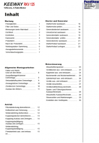 RIS Reparaturanleitung Keeway RKV 125, Antrieb und Motor