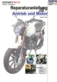 RIS Reparaturanleitung Keeway RKV 125, Antrieb und Motor