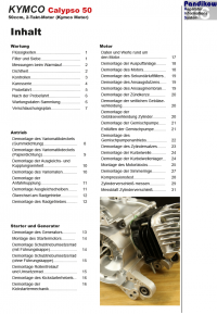 Reparaturanleitung RIS, Kymco Calypso 50 2 Takt (Kymco), Antrieb und Motor