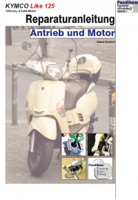 Reparaturanleitung RIS, Kymco Like 125, Antrieb und Motor