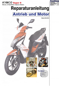 Reparaturanleitung RIS, Kymco Super 8, 2T, Antrieb und Motor