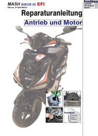 Reparaturanleitung RIS, Mash Bibob 50 EFI, 4T, Gemischaufbereitung und Diagnose