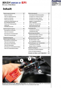 Reparaturanleitung RIS, Mash Bibob 50 EFI, 4T, Gemischaufbereitung und Diagnose