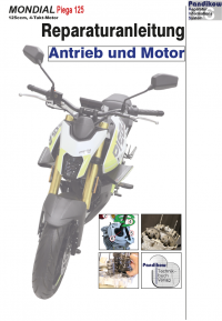 Reparaturanleitung RIS, Mondial Piega 125, Antrieb und Motor